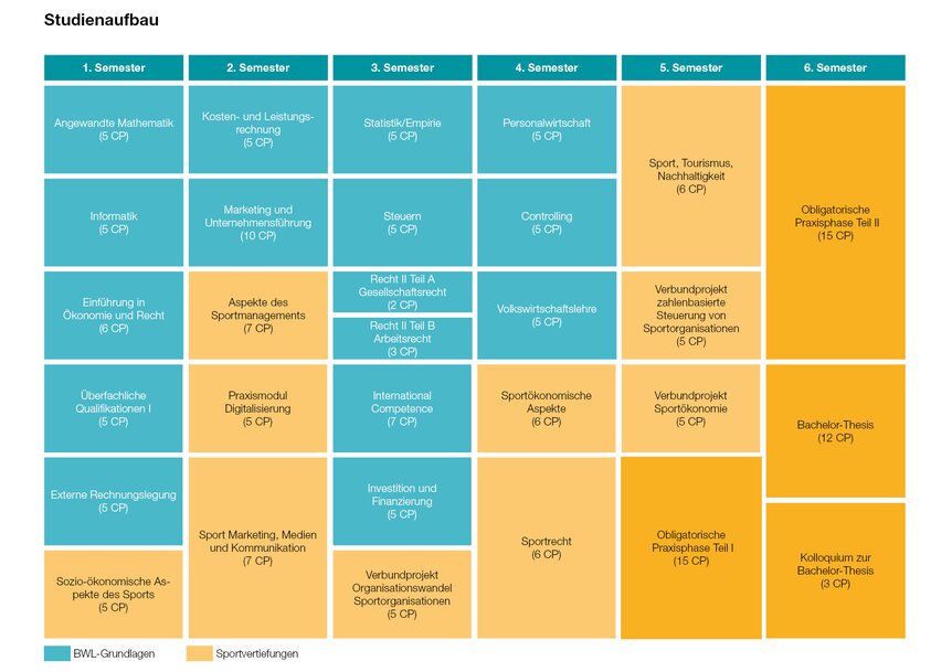 Grafik zum Studienverlauf Sportmanagement Bachelor