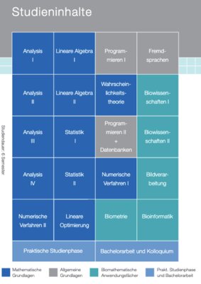 Studieninhalte des Studiums Biomathematik