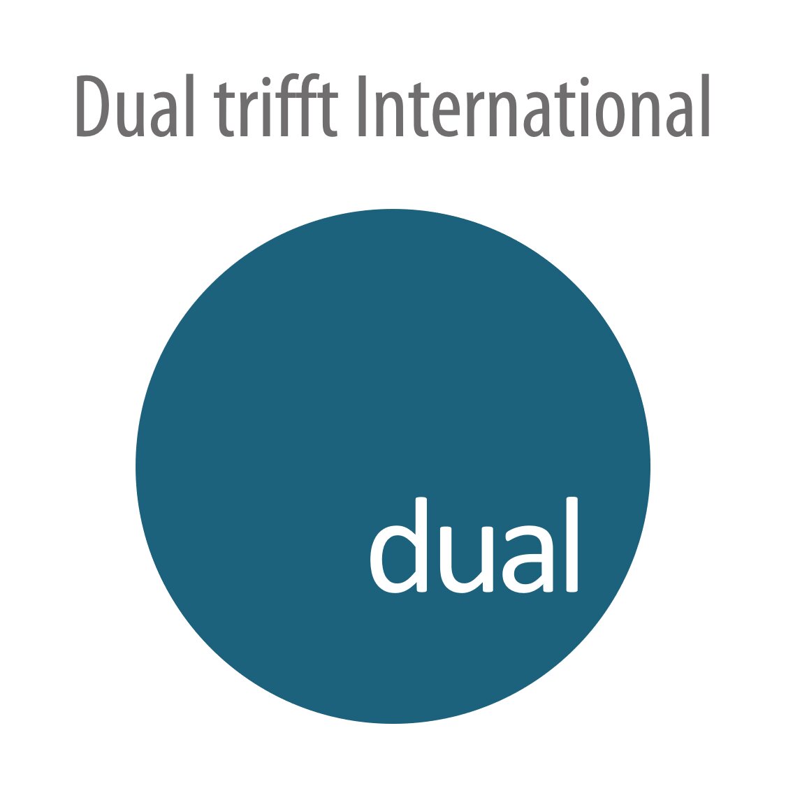 Grafische Darstellung mit weiterführendem Link zu der Unterseite des Projektes Dual trifft International
