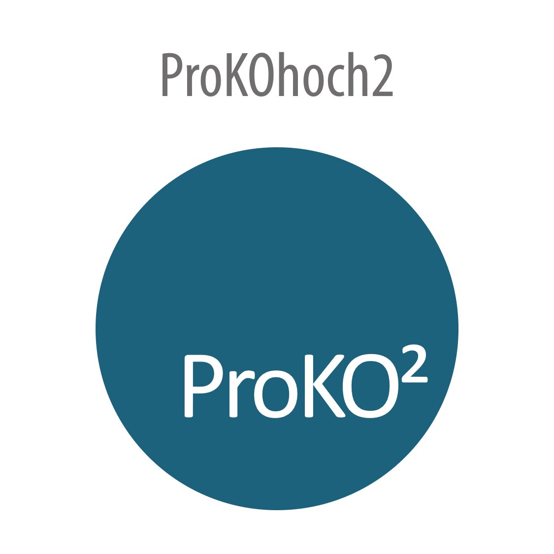 Zum Projekt ProKOhoch2