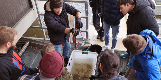 Studierende sind mit einem Wissenschaftler von oben bei der Arbeit mit Fischen am Wasser fotografiert.