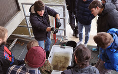 Studierende sind mit einem Wissenschaftler von oben bei der Arbeit mit Fischen am Wasser fotografiert.