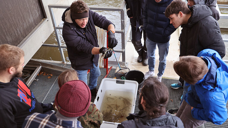 Studierende sind mit einem Wissenschaftler von oben bei der Arbeit mit Fischen am Wasser fotografiert.