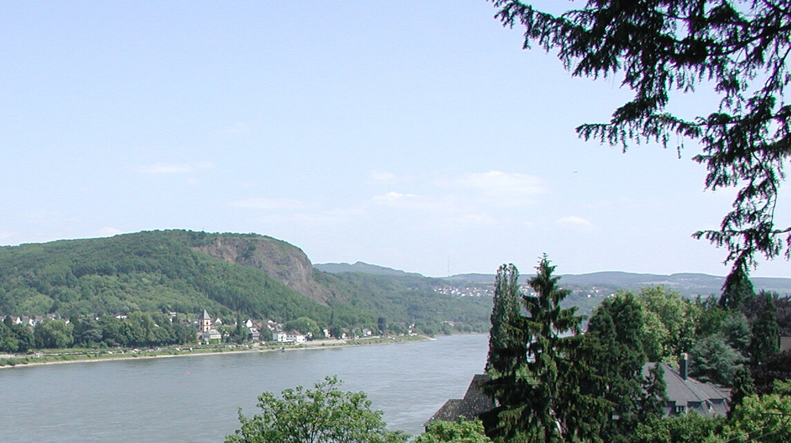 Rhine