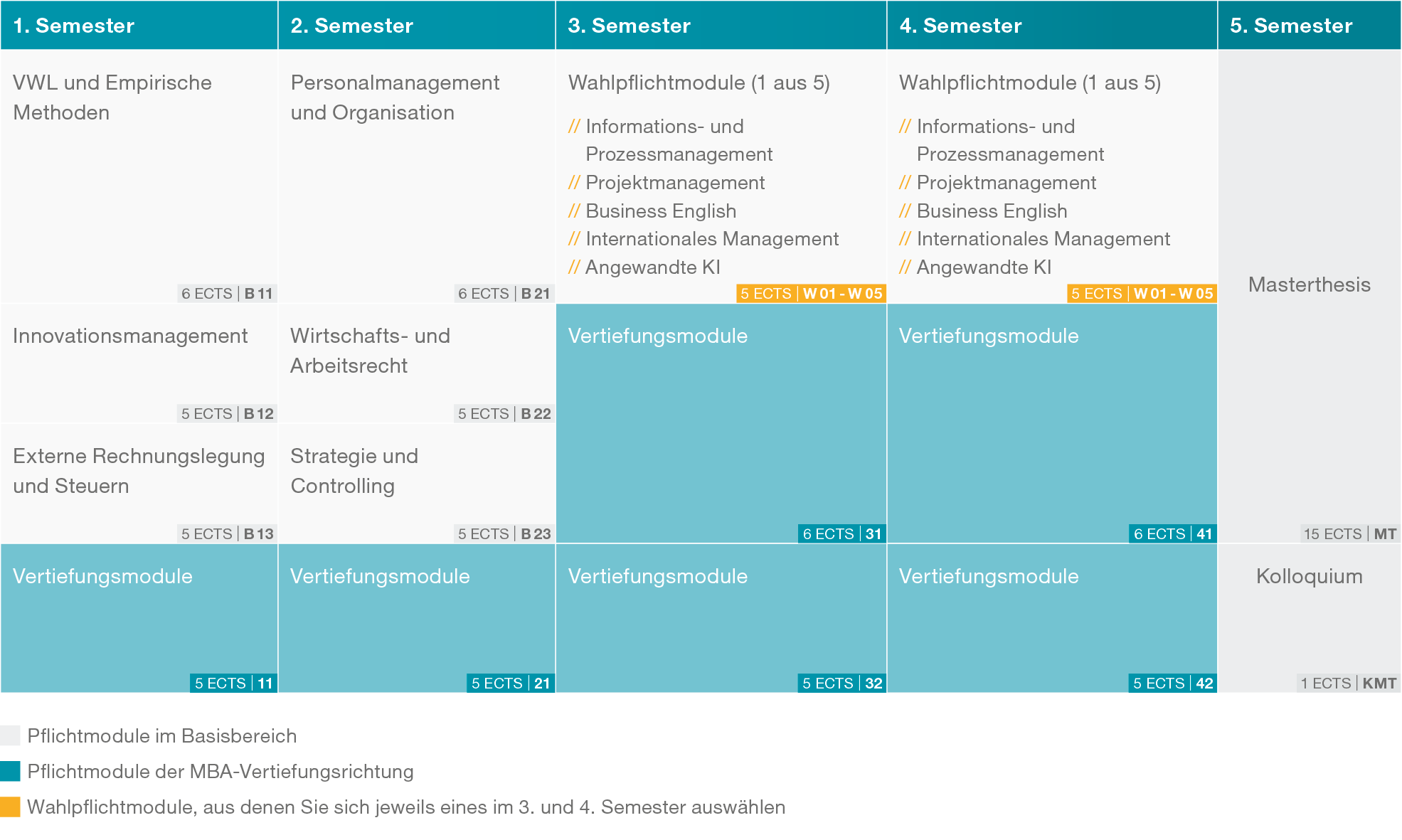 graphische Darstellung des Aufbaus und der Studieninhalte