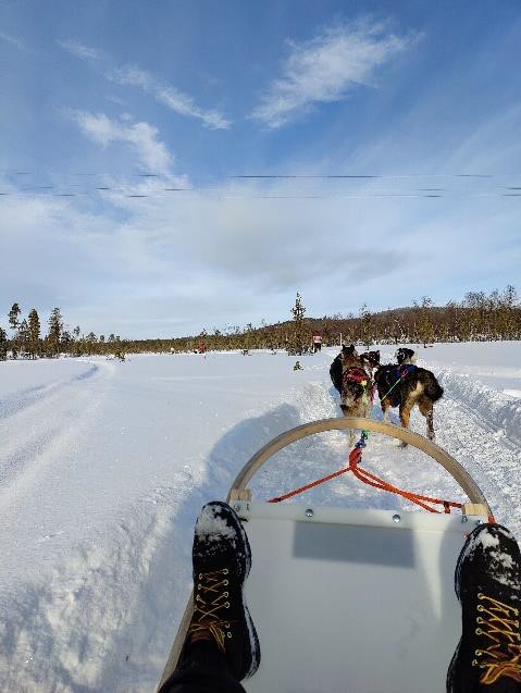 Husky Tour