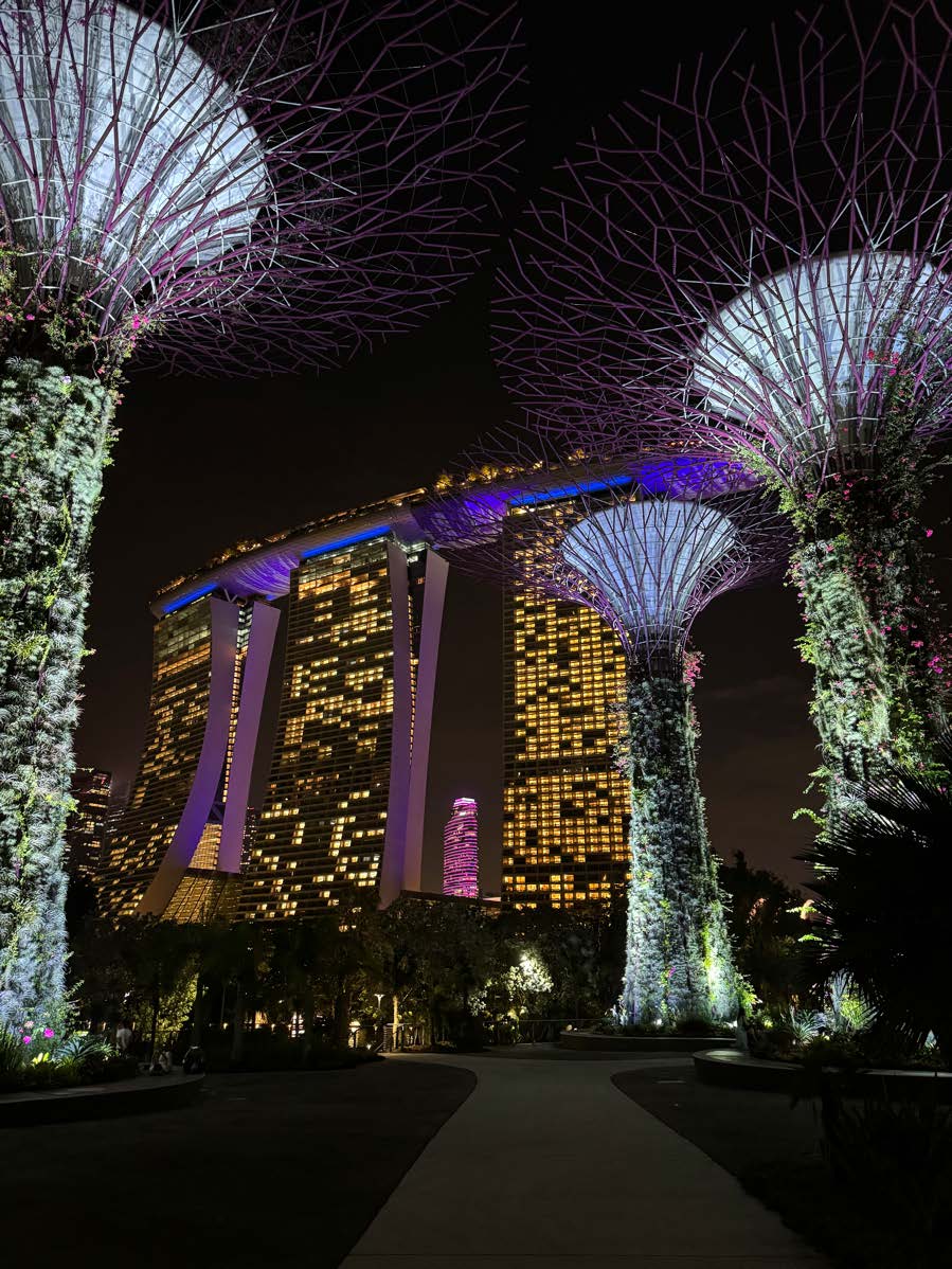 Gardens by the Bay, Singapur